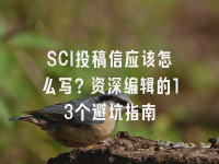 学术会议在线