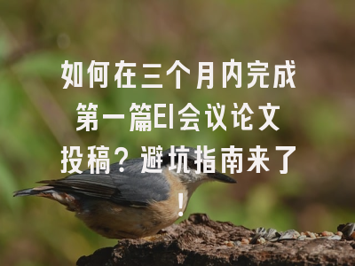 如何在三个月内完成第一篇EI会议论文投稿？避坑指南来了！