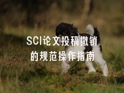SCI论文投稿撤销的规范操作指南