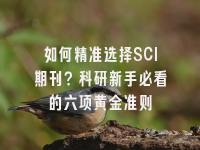 学术会议在线