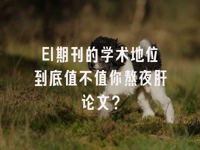 EI期刊的学术地位到底值不值你熬夜肝论文？