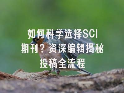 如何科学选择SCI期刊？资深编辑揭秘投稿全流程