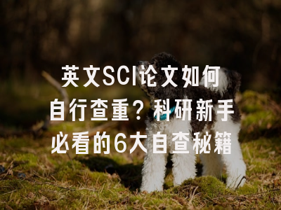 英文SCI论文如何自行查重？科研新手必看的6大自查秘籍