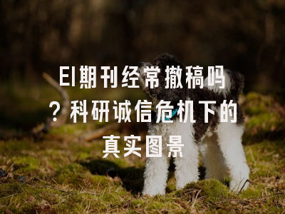 EI期刊经常撤稿吗？科研诚信危机下的真实图景