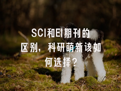 SCI和EI期刊的区别，科研萌新该如何选择？