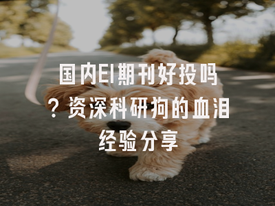 国内EI期刊好投吗？资深科研狗的血泪经验分享