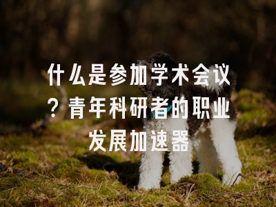 什么是参加学术会议？青年科研者的职业发展加速器