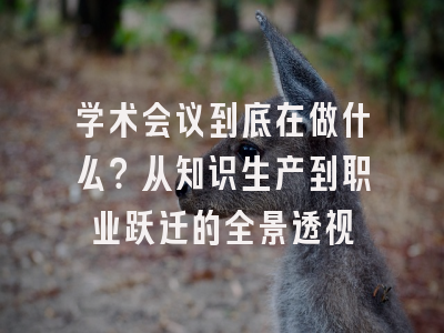 学术会议到底在做什么？从知识生产到职业跃迁的全景透视