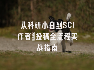 从科研小白到SCI作者：投稿全流程实战指南