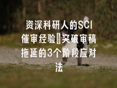 资深科研人的SCI催审经验：突破审稿拖延的3个阶段应对法