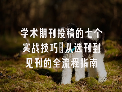 学术期刊投稿的七个实战技巧：从选刊到见刊的全流程指南