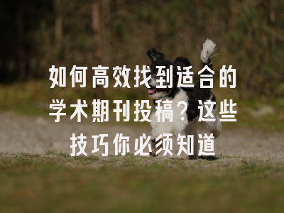 如何高效找到适合的学术期刊投稿？这些技巧你必须知道