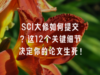 SCI大修如何提交？这12个关键细节决定你的论文生死！