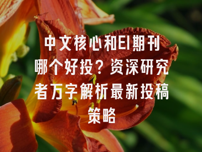 中文核心和EI期刊哪个好投？资深研究者万字解析最新投稿策略
