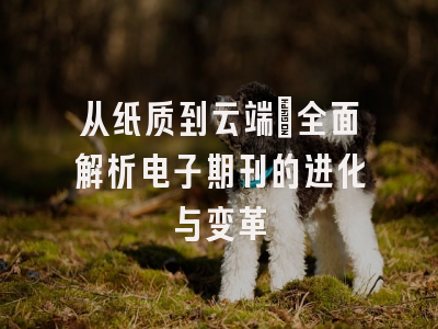 从纸质到云端：全面解析电子期刊的进化与变革