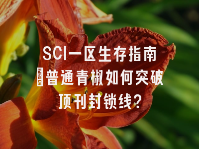 SCI一区生存指南：普通青椒如何突破顶刊封锁线？