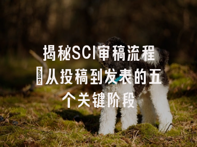 揭秘SCI审稿流程：从投稿到发表的五个关键阶段