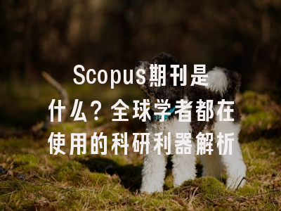 Scopus期刊是什么？全球学者都在使用的科研利器解析