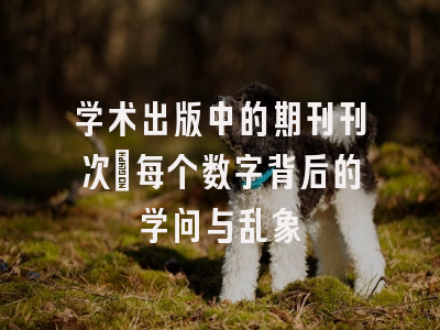 学术出版中的期刊刊次：每个数字背后的学问与乱象