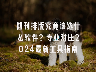 期刊排版究竟该选什么软件？专业对比2024最新工具指南