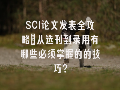 SCI论文发表全攻略：从选刊到录用有哪些必须掌握的的技巧？