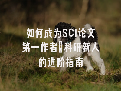 如何成为SCI论文第一作者：科研新人的进阶指南