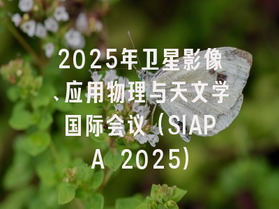 2025年卫星影像、应用物理与天文学国际会议（SIAPA 2025）