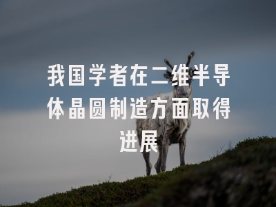我国学者在二维半导体晶圆制造方面取得进展