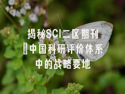 揭秘SCI二区期刊：中国科研评价体系中的战略要地