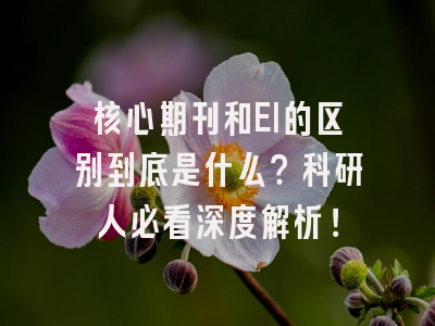 核心期刊和EI的区别到底是什么？科研人必看深度解析！