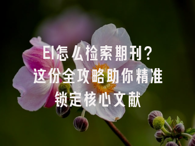 EI怎么检索期刊？这份全攻略助你精准锁定核心文献