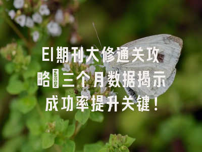 EI期刊大修通关攻略：三个月数据揭示成功率提升关键！