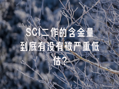 SCI二作的含金量到底有没有被严重低估？