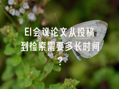 EI会议论文从投稿到检索需要多长时间？