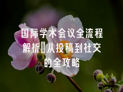 国际学术会议全流程解析：从投稿到社交的全攻略
