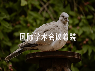 国际学术会议着装