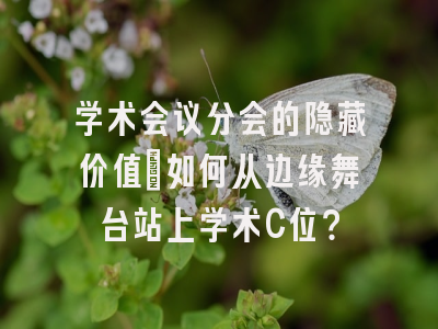 学术会议分会的隐藏价值：如何从边缘舞台站上学术C位？