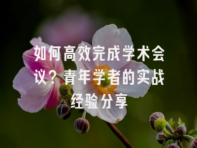 如何高效完成学术会议？青年学者的实战经验分享