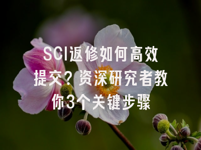 SCI返修如何高效提交？资深研究者教你3个关键步骤