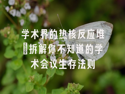 学术界的热核反应堆：拆解你不知道的学术会议生存法则