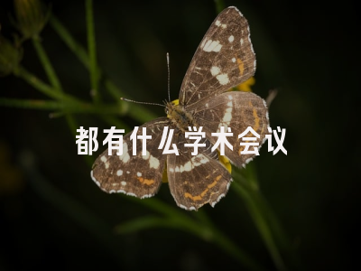 都有什么学术会议