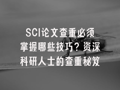 SCI论文查重必须掌握哪些技巧？资深科研人士的查重秘笈