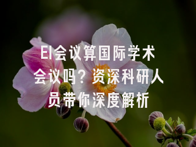 EI会议算国际学术会议吗？资深科研人员带你深度解析