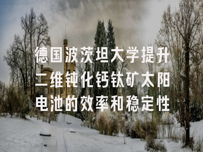 德国波茨坦大学提升二维钝化钙钛矿太阳电池的效率和稳定性