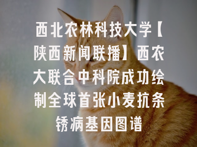 西北农林科技大学【陕西新闻联播】西农大联合中科院成功绘制全球首张小麦抗条锈病基因图谱
