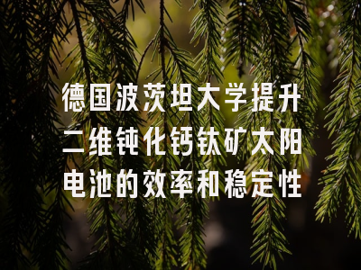 德国波茨坦大学提升二维钝化钙钛矿太阳电池的效率和稳定性