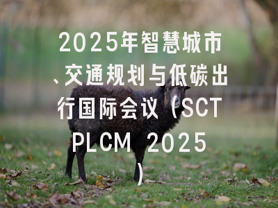 2025年智慧城市、交通规划与低碳出行国际会议（SCTPLCM 2025）