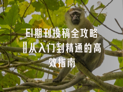 EI期刊投稿全攻略：从入门到精通的高效指南