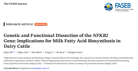 中国农业大学动科学院孙东晓教授团队在奶牛乳脂肪酸性状调控研究中取得重要进展 为优质高产种牛培育提供新路径