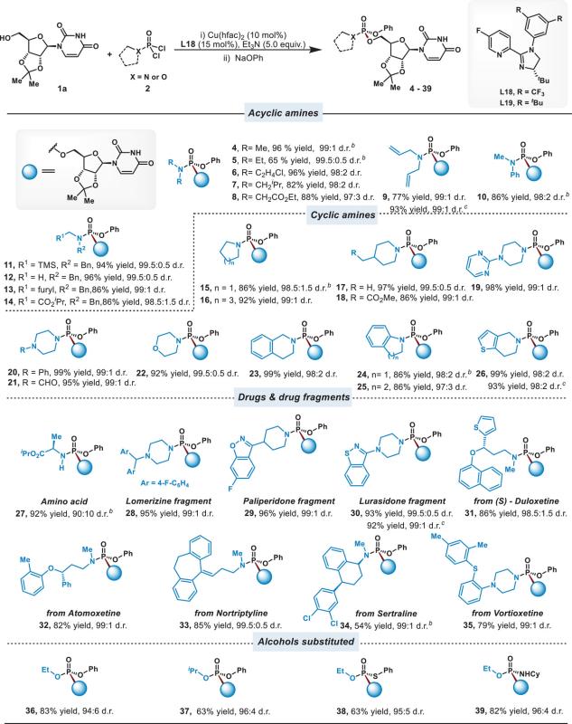 上海交大商明团队通过铜催化的（硫代）磷酸二氯化物去对称化反应实现磷(V)手性化合物的模块化合成